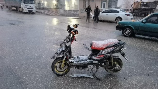 Foto - Yaralıyı kar yağışından kartonla korudular