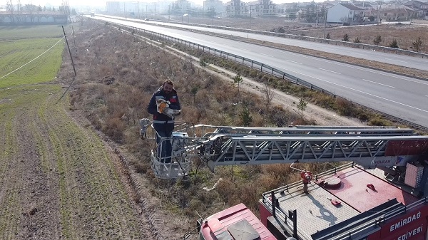 Foto - Yaramaz kedi elektrik direğinde mahsur kaldı