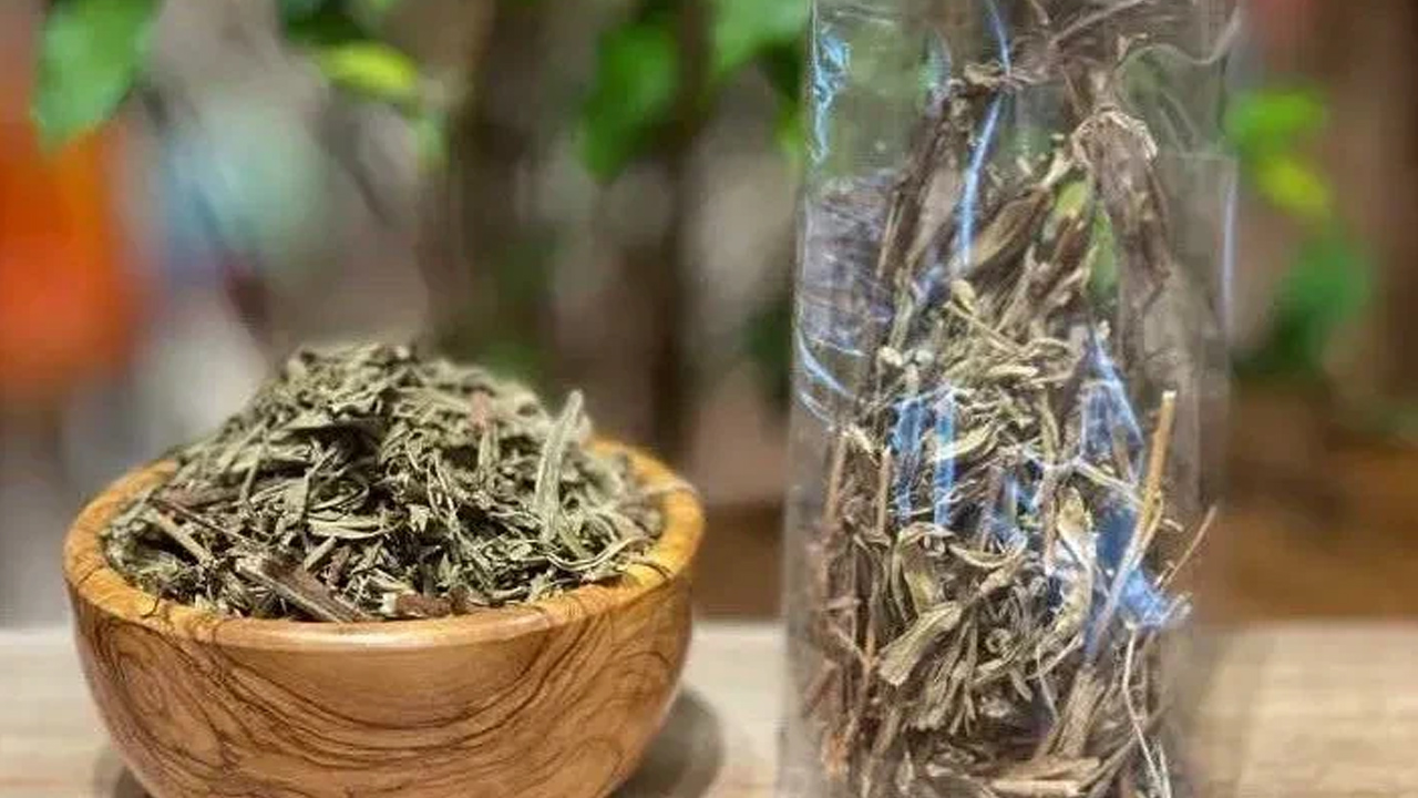 Yarar olacak: Andız pekmezi tam bir şifa deposu doğada yetişiyor! Akciğerleri temizleyen bitki öyle bir şey ki...