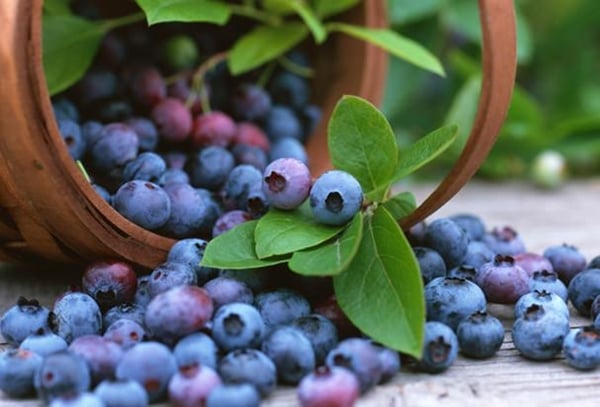 Yararları bu meyvelerin renginde saklı!