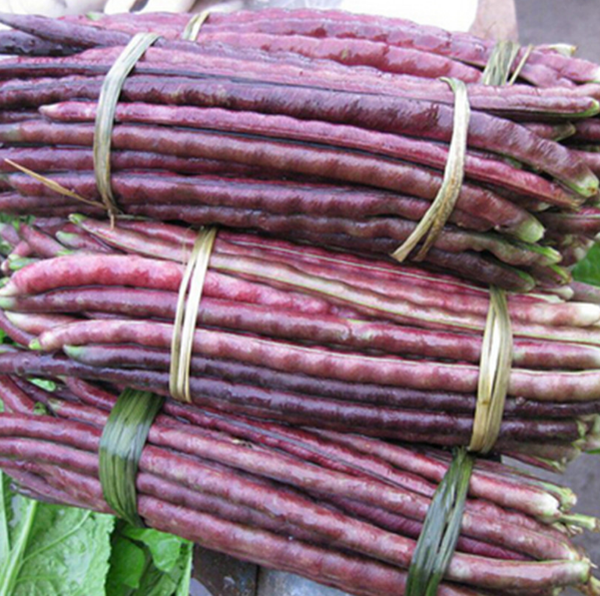 Foto - Yararları bu meyvelerin renginde saklı!