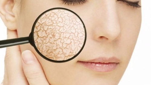 Foto - Yararları saymakla bitmiyor