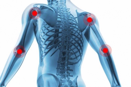 Foto - Yararları saymakla bitmiyor