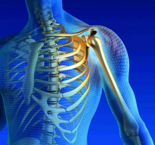 Foto - Yararları saymakla bitmiyor