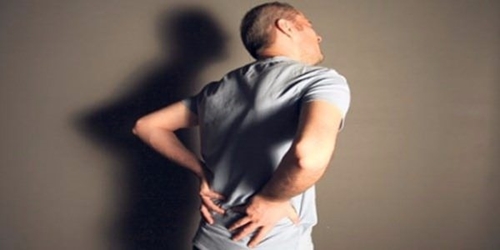 Foto - Yararları saymakla bitmiyor