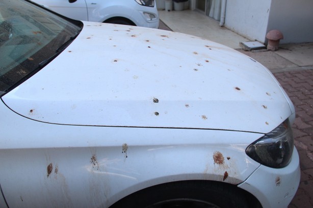 Foto - Yarasalar dışkılarıyla site sakinlerini bezdirdi