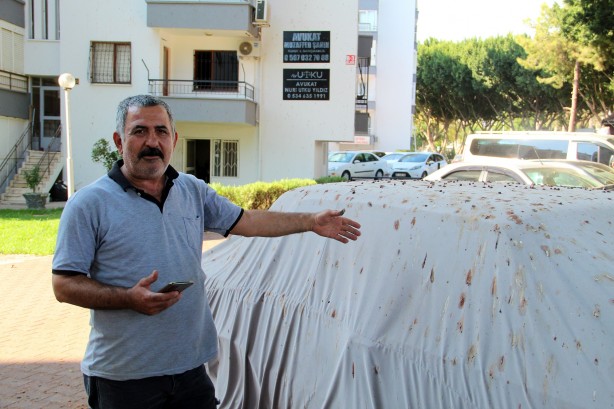 Foto - Yarasalar dışkılarıyla site sakinlerini bezdirdi