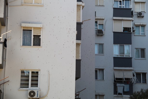 Foto - Yarasalar dışkılarıyla site sakinlerini bezdirdi