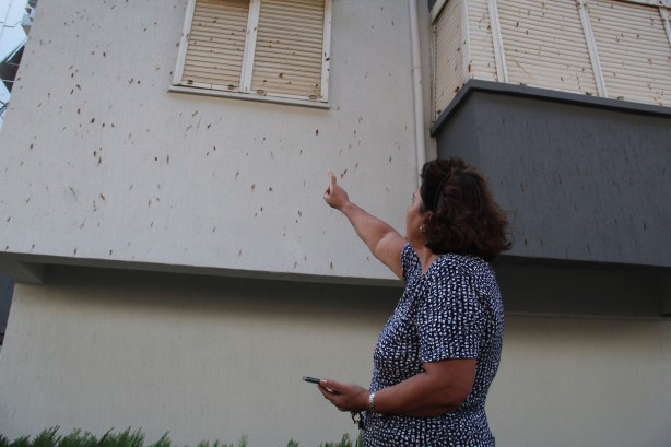 Foto - Yarasalar dışkılarıyla site sakinlerini bezdirdi