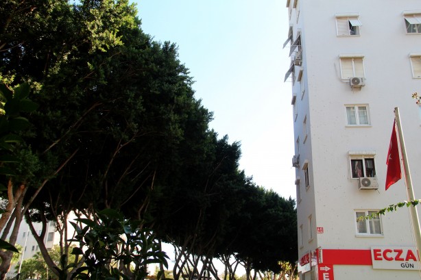 Foto - Yarasalar dışkılarıyla site sakinlerini bezdirdi