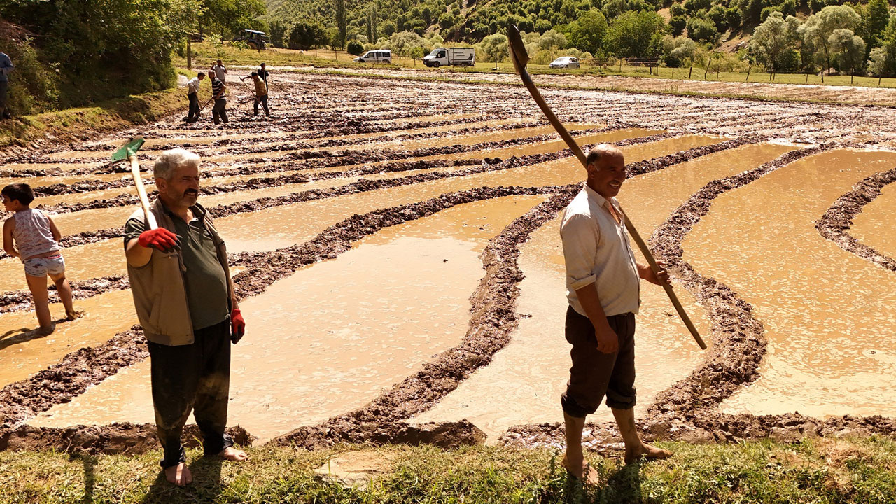 Foto - Yardımlaşmanın ruhu! Yüz yıllardır bu yöntemi kullanıyorlar