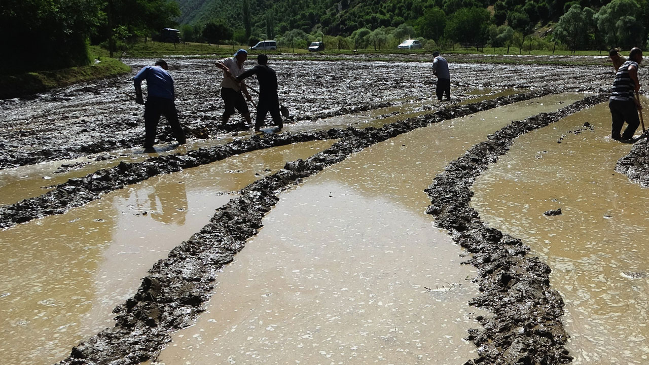 Foto - Yardımlaşmanın ruhu! Yüz yıllardır bu yöntemi kullanıyorlar