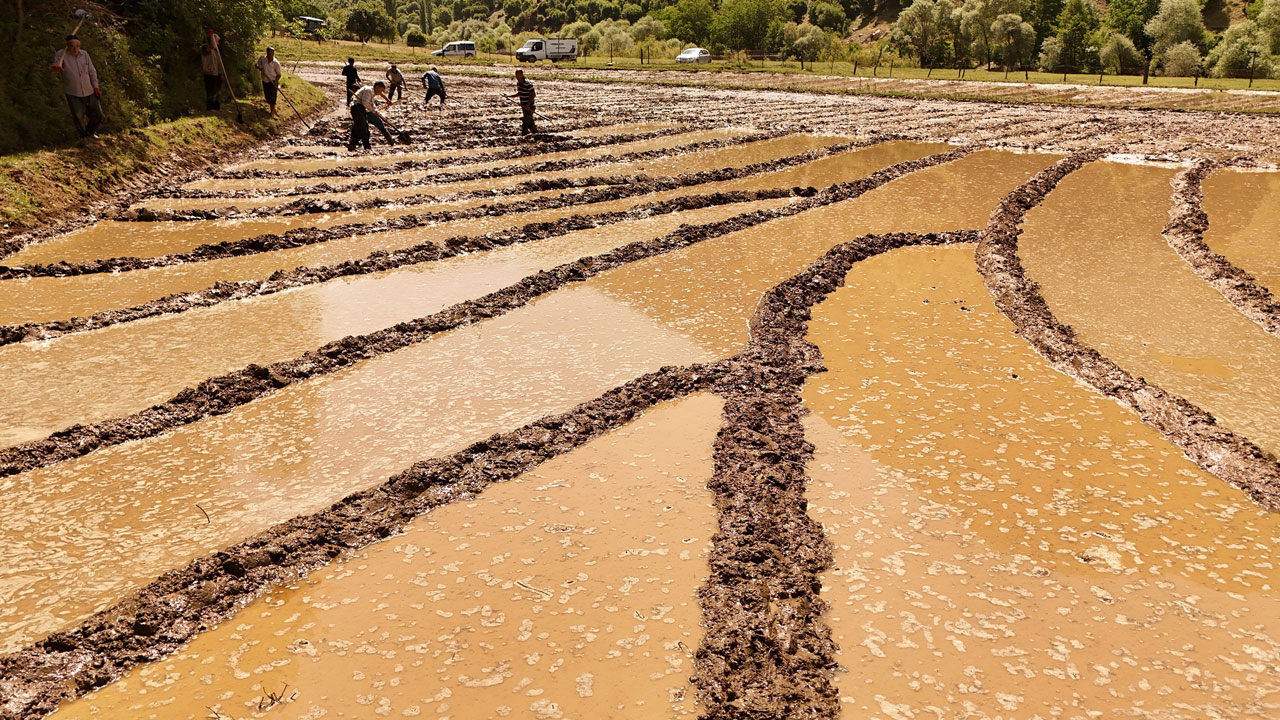 Foto - Yardımlaşmanın ruhu! Yüz yıllardır bu yöntemi kullanıyorlar