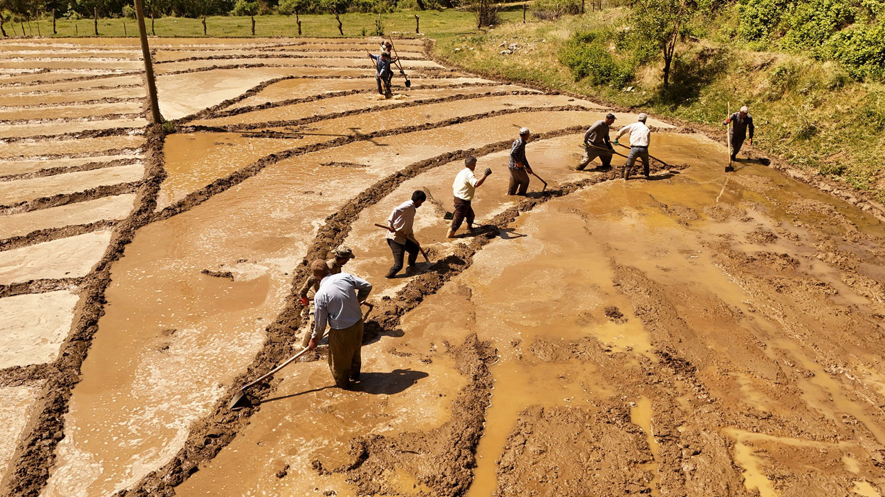 Foto - Yardımlaşmanın ruhu! Yüz yıllardır bu yöntemi kullanıyorlar