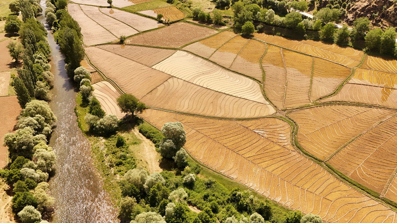 Yardımlaşmanın ruhu! Yüz yıllardır bu yöntemi kullanıyorlar