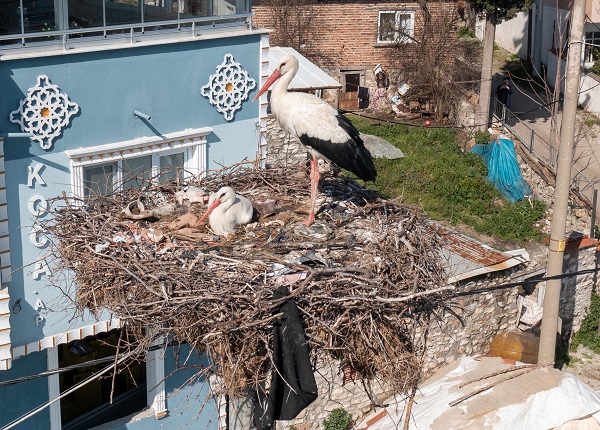 Foto - Yaren Leylek, Adem Amcayı unuttu