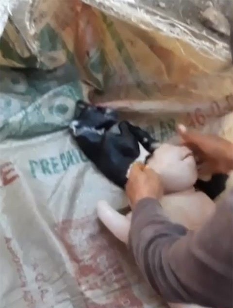 Foto - Yarı insan yarı domuz canlı görenleri şoka soktu!