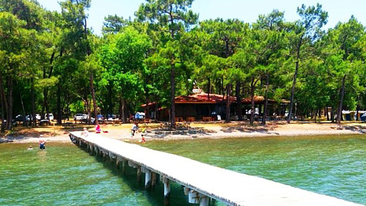 Foto - Yarım milyon kişi o ilçedeki özel alanın kapısına dayandı: Ne yapıp edip içeri girmek istiyorlar