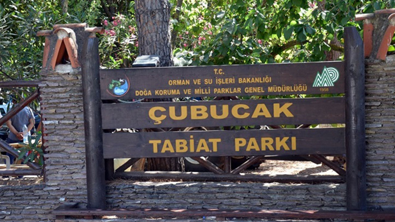 Foto - Yarım milyon kişi o ilçedeki özel alanın kapısına dayandı: Ne yapıp edip içeri girmek istiyorlar