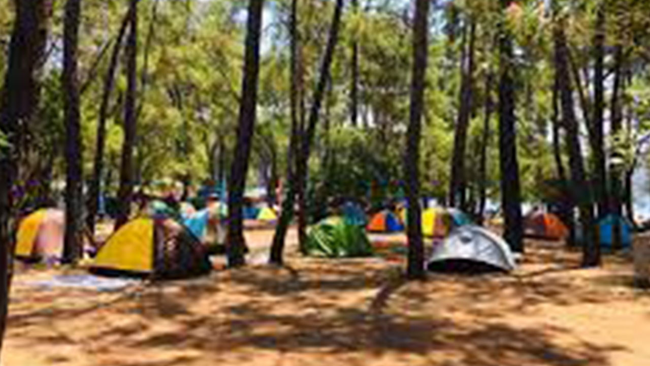 Foto - Yarım milyon kişi o ilçedeki özel alanın kapısına dayandı: Ne yapıp edip içeri girmek istiyorlar