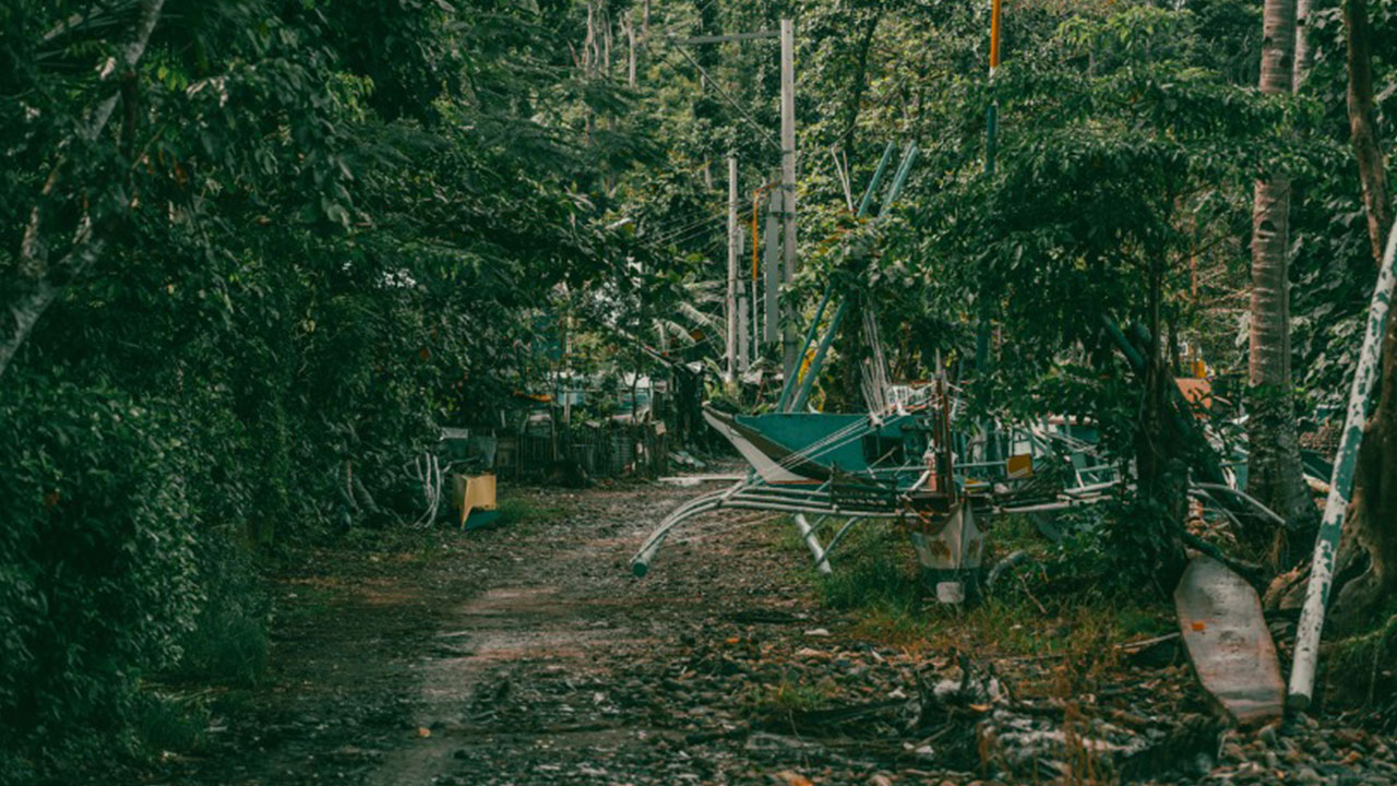 Yarım milyon kişi o ilçedeki özel alanın kapısına dayandı: Ne yapıp edip içeri girmek istiyorlar