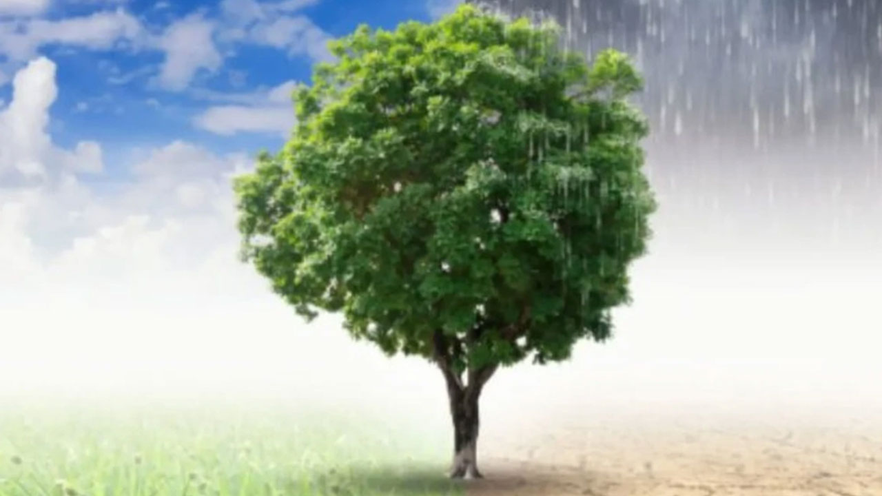 Foto - 'Yarın herkesin feryat edeceği felaket bir proje' deniyordu! İklim Kanunu geçti