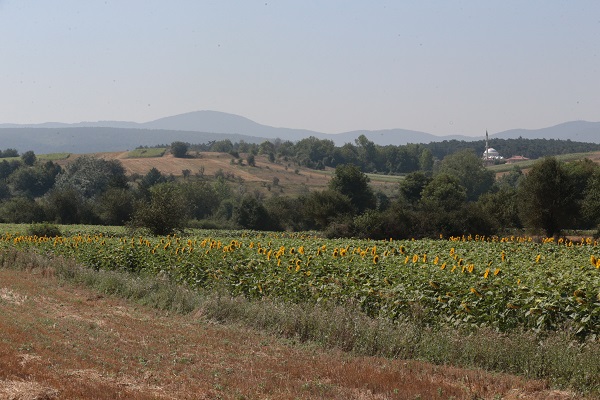 Foto - Yarısı üreticiden yarısı devletten 