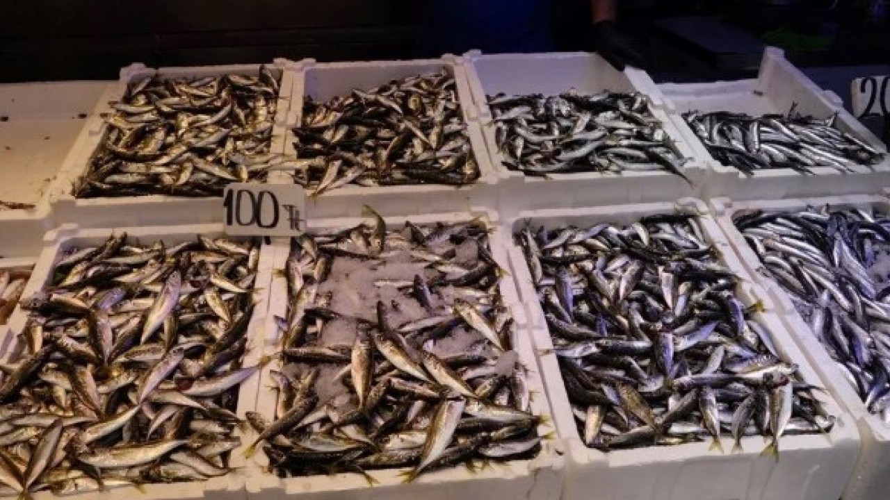 Foto - Yasak bitti sezon açıldı..! "Bu sene bolluk var