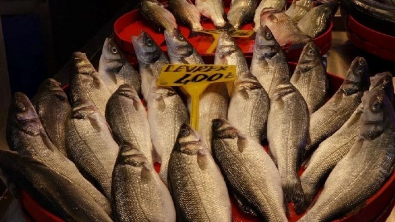 Foto - Yasak bitti sezon açıldı..! "Bu sene bolluk var