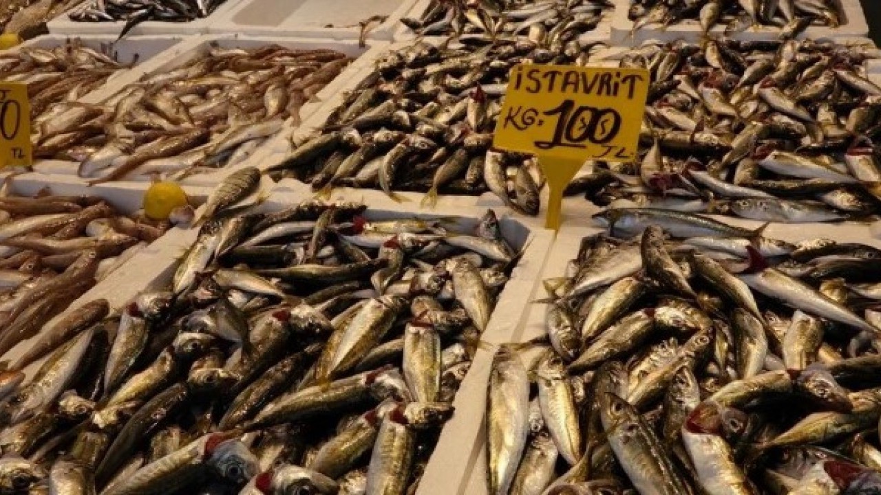 Foto - Yasak bitti sezon açıldı..! "Bu sene bolluk var