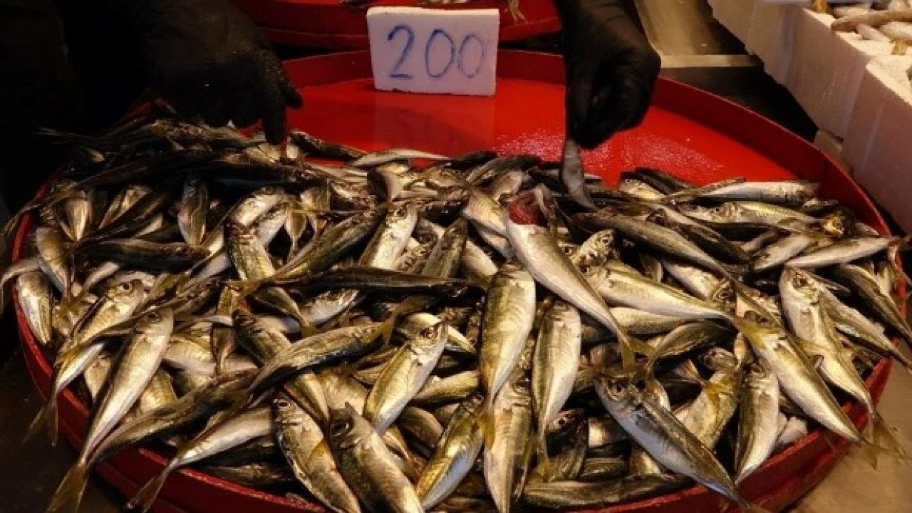 Yasak bitti sezon açıldı..! "Bu sene bolluk var