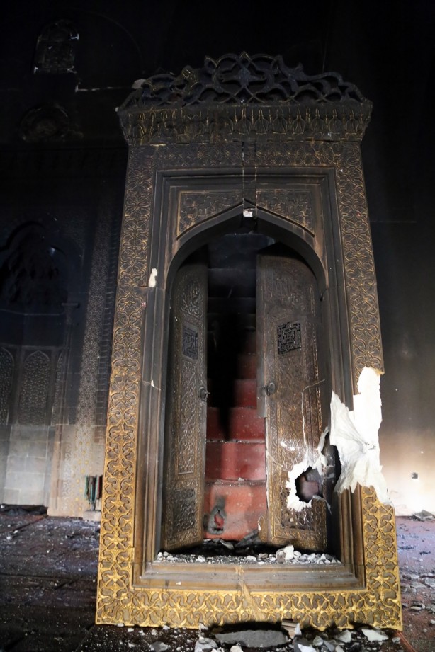 Foto - Yasak kalkınca dehşet ortaya çıktı