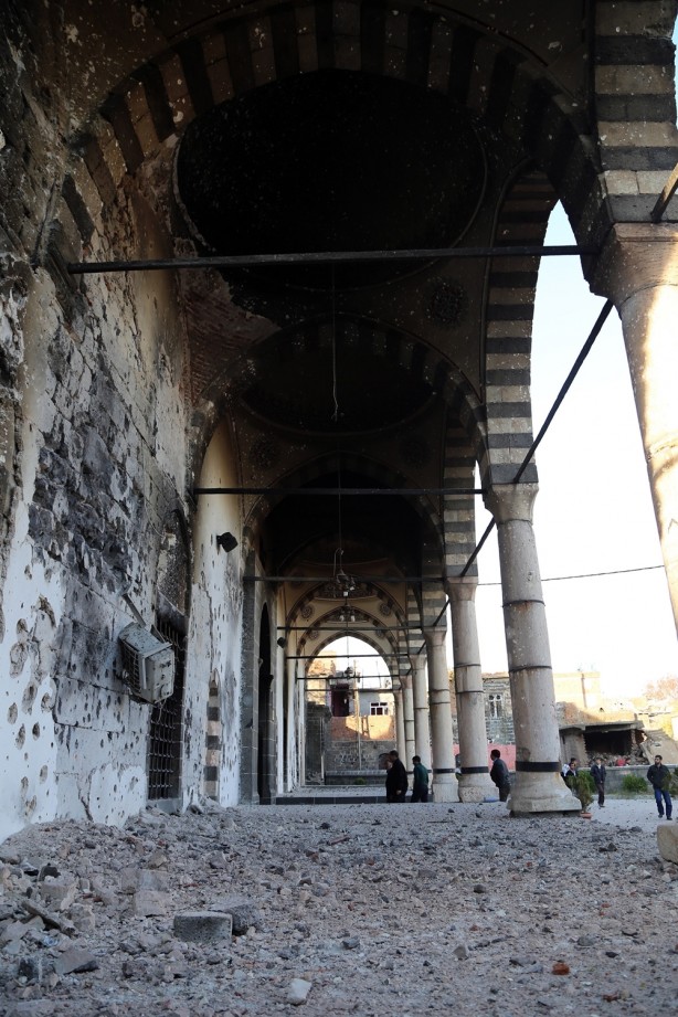 Foto - Yasak kalkınca dehşet ortaya çıktı