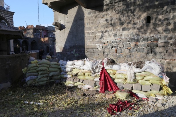 Foto - Yasak kalkınca dehşet ortaya çıktı
