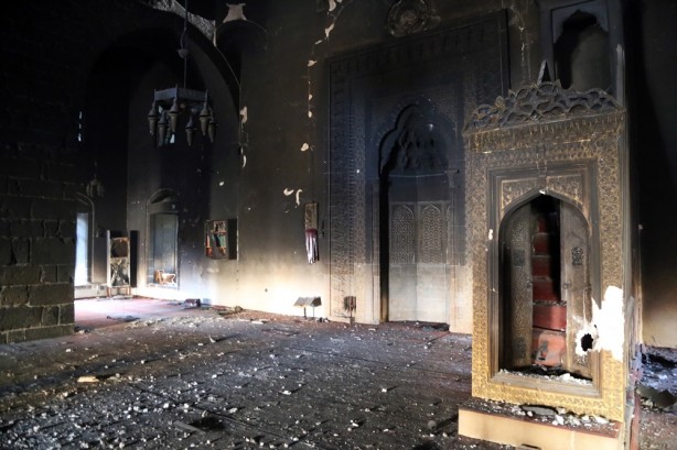 Foto - Yasak kalkınca dehşet ortaya çıktı