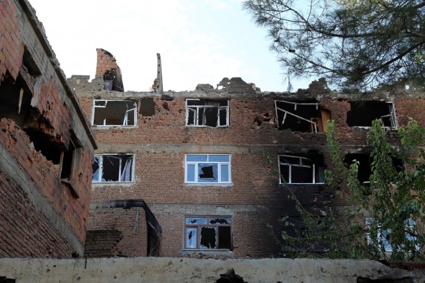 Foto - Yasak kalkınca dehşet ortaya çıktı