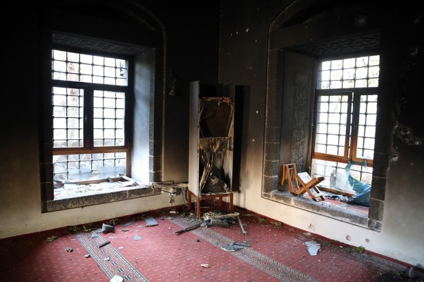 Foto - Yasak kalkınca dehşet ortaya çıktı