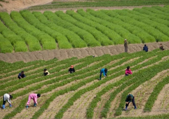 Foto - Yasak olmasına rağmen ortaya çıkardı! Nükleer gücü olan ülkede olay görüntüler