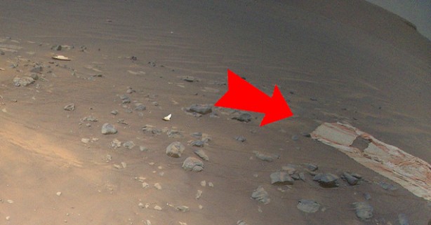 Foto - Yaşam bile olmadan kirlendi!