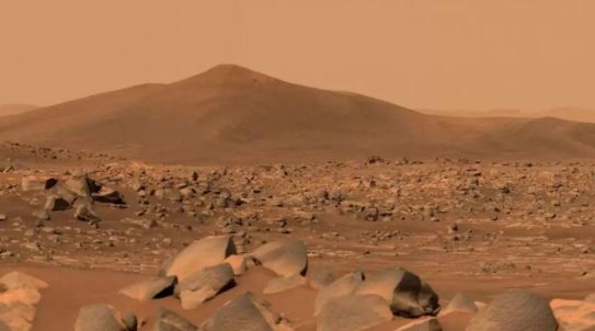 Foto - Yaşam bile olmadan kirlendi!