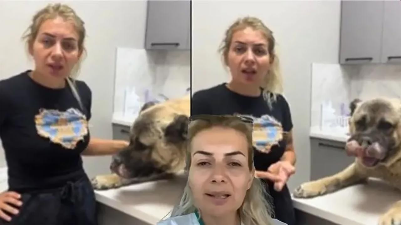 Foto - Yaşama Tutunan Pati değil, kendileriymiş! Milleti işte böyle dolandırdılar