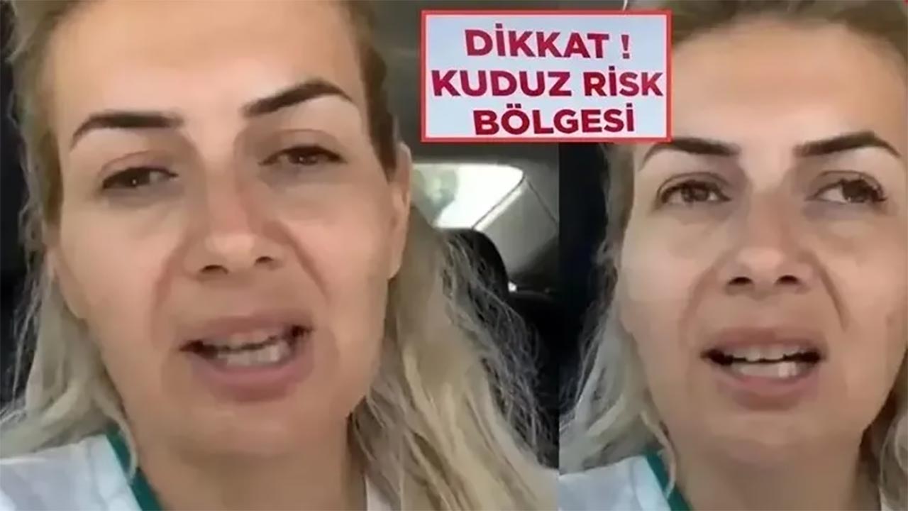 Foto - Yaşama Tutunan Pati değil, kendileriymiş! Milleti işte böyle dolandırdılar