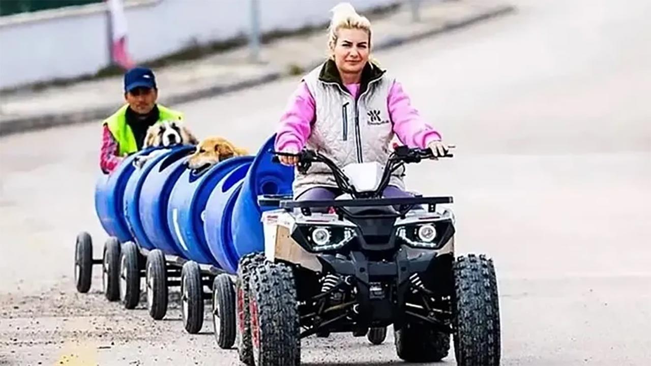 Foto - Yaşama Tutunan Pati değil, kendileriymiş! Milleti işte böyle dolandırdılar
