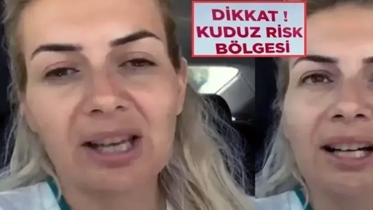 Foto - Yaşama Tutunan Patiler Derneğine soruşturma! Köpek sevgisini kullanarak milyonları götürmüşler