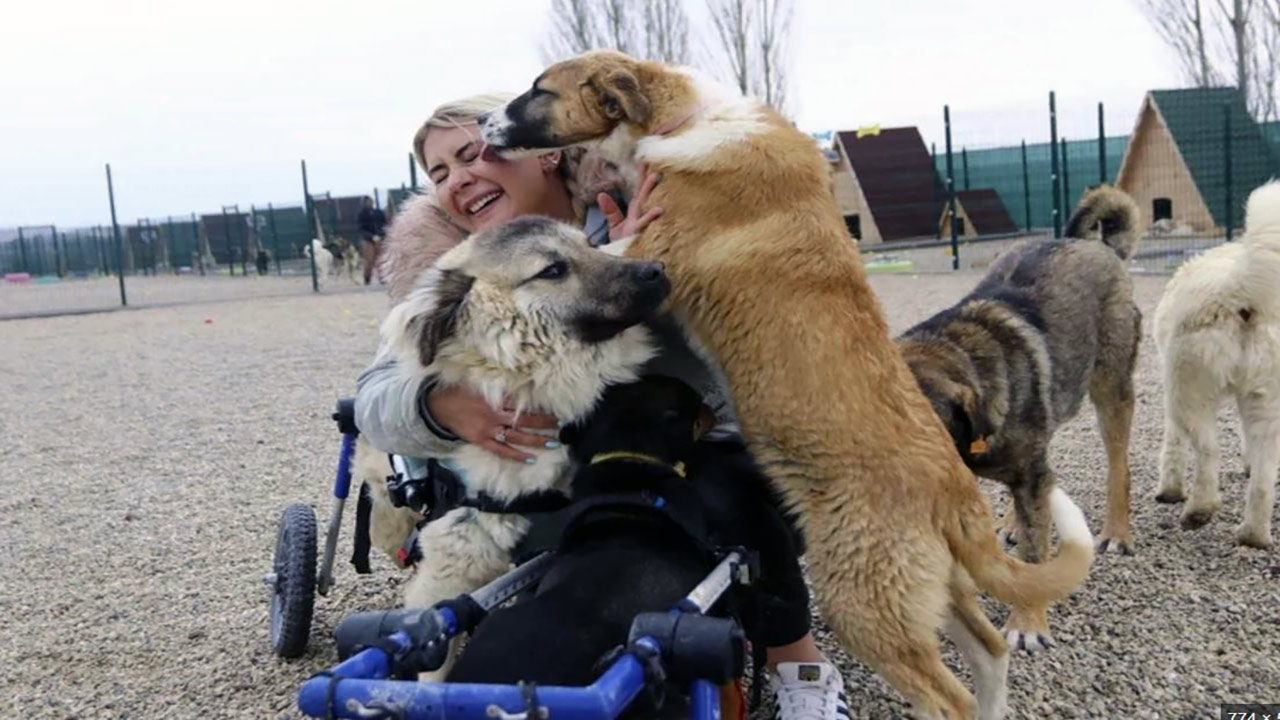 Foto - Yaşama Tutunan Patiler Derneğine soruşturma! Köpek sevgisini kullanarak milyonları götürmüşler
