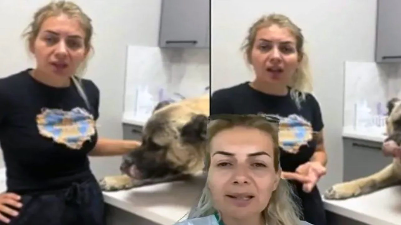 Foto - Yaşama Tutunan Patiler Derneğine soruşturma! Köpek sevgisini kullanarak milyonları götürmüşler