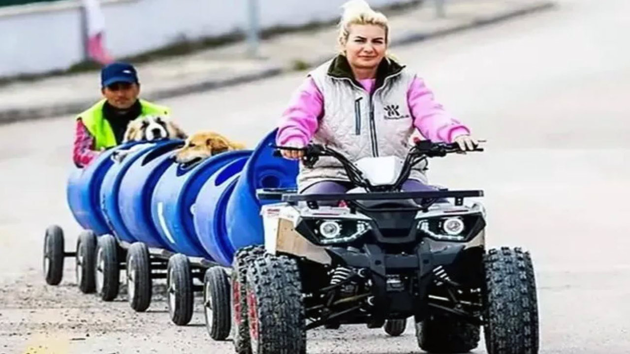 Foto - Yaşama Tutunan Patiler Derneğine soruşturma! Köpek sevgisini kullanarak milyonları götürmüşler