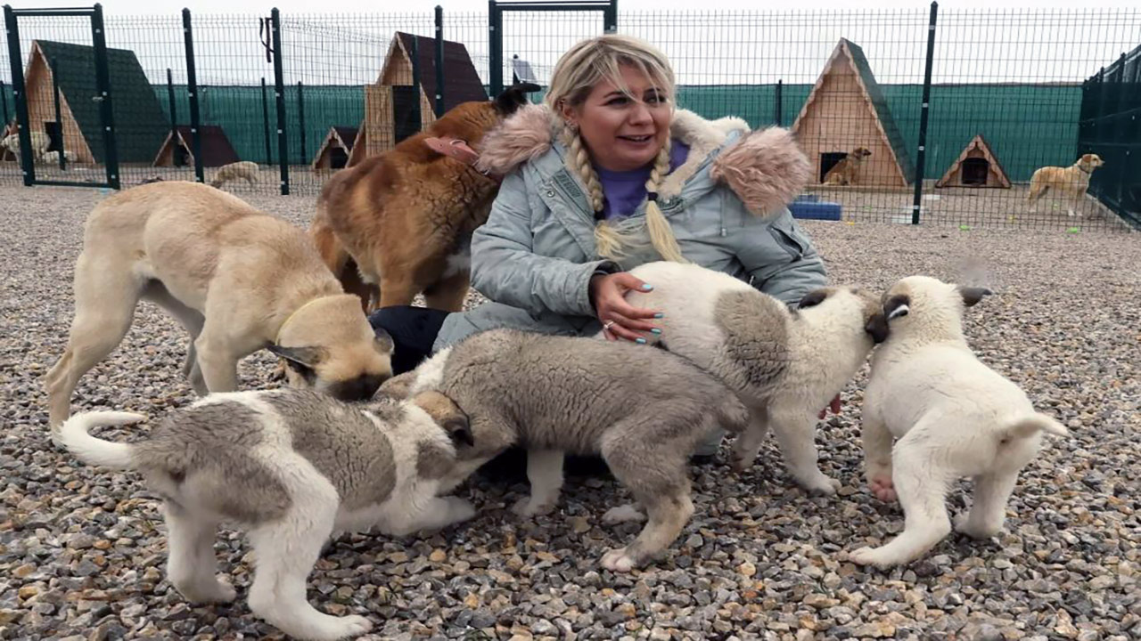 Foto - Yaşama Tutunan Patiler Derneğine soruşturma! Köpek sevgisini kullanarak milyonları götürmüşler