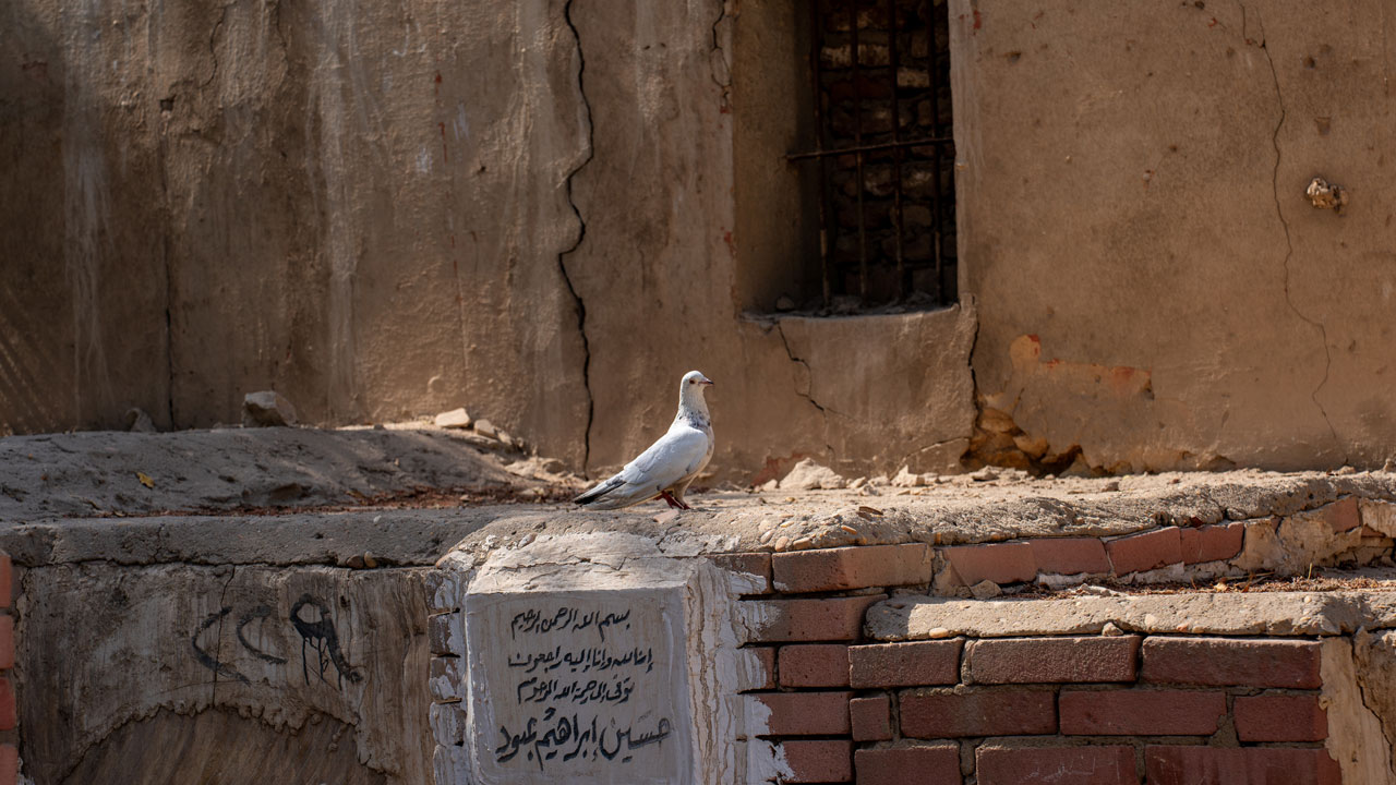 Foto - Yaşamla ölümün yan yana olduğu yer: Kahire’deki ‘Ölüler Şehri’
