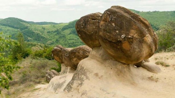 Yaşayan taşlarının gizemi çözülüyor! Doğuruyor ve hareket ediyorlar